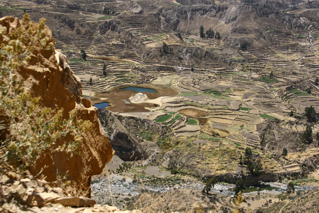 Inka-Terrassen im Valle del Colca