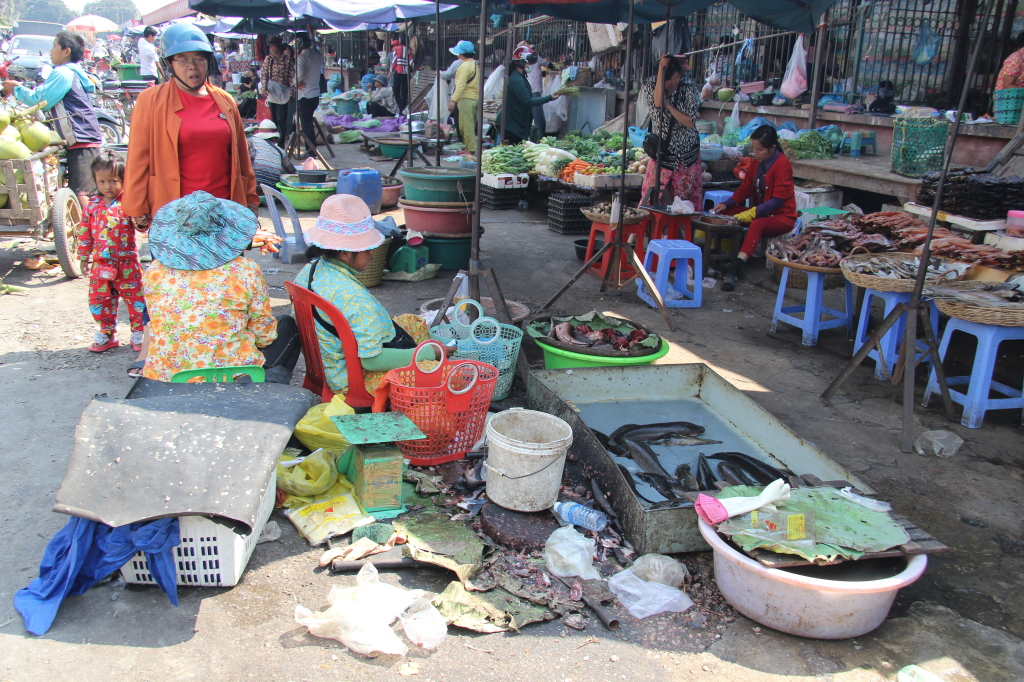 Phsar Nath - Fischverkauf auf dem zentralen Markt von Battambang