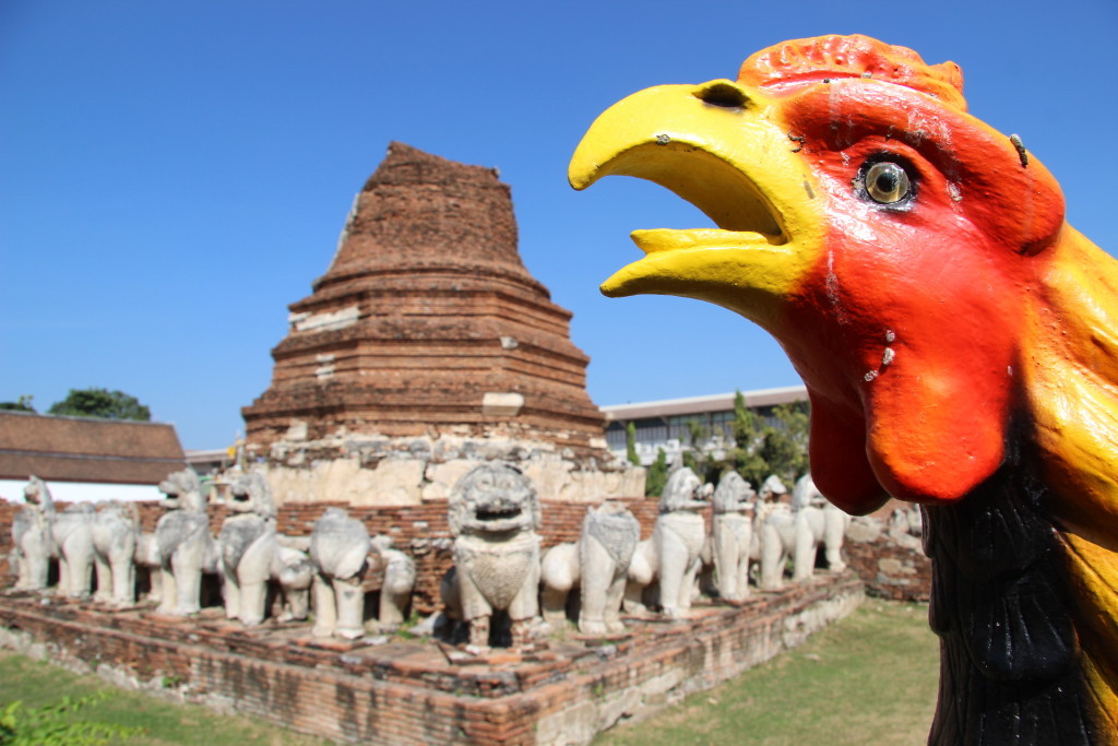 Wat Thammikarat - Vor dem von Löwenstatuen umgebene Chedi deutet ein Hahn den Weg