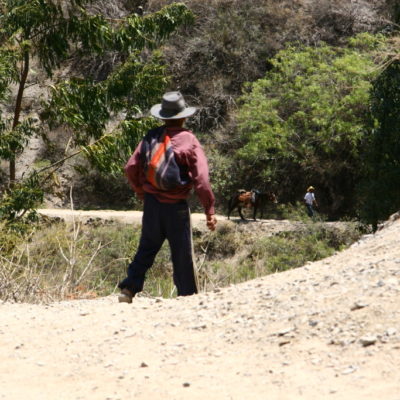 Peruaner mit Esel im Valle del Colca