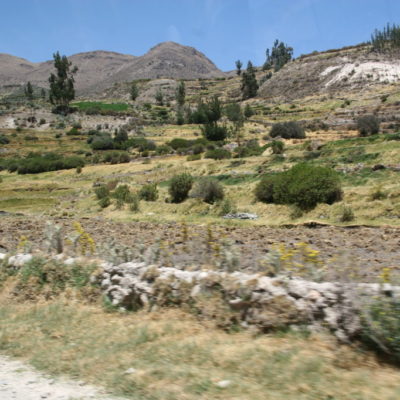 Cañon del Colca - Felder in der Nähe von Cabanaconde