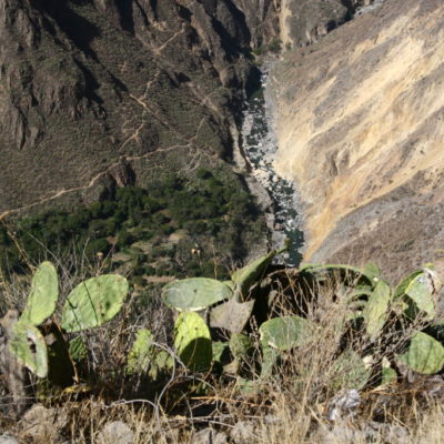 Cañón del Colca ist der zweittiefste Canyon der Welt