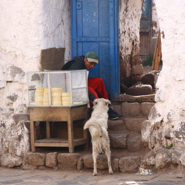 Quesos Maduros - Käse-Verkäufer füttert einen Hund