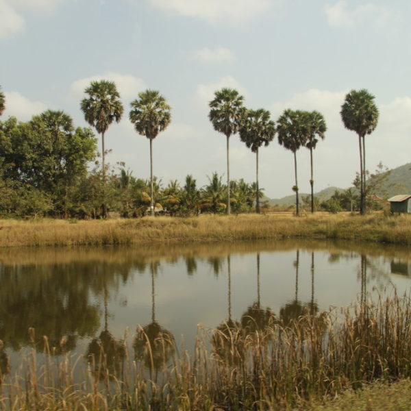 Countryside Tour around Kampot