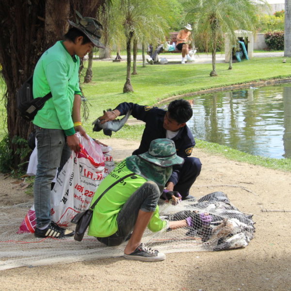 Suan Buak Hat: Während an den Ständen im Park Taubenfutter verkauft wird, welches die Besucher mit Freude an die Vögel verfüttern, werfen Taubenfänger riesige Netze aus und stopfen die Täubchen in große Säcke.