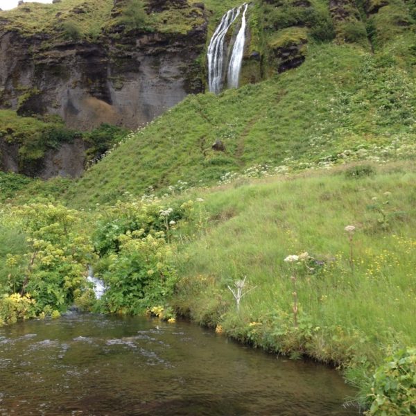 Der Fluss Seljalandsá stürzt 66 m in die Tiefe und bildet den Wasserfall Seljalandsfoss