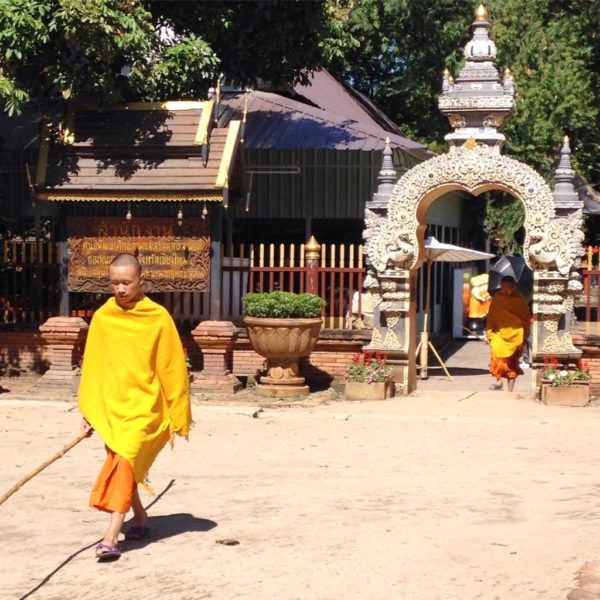 Wat Lok Mo Li - Junge Mönche