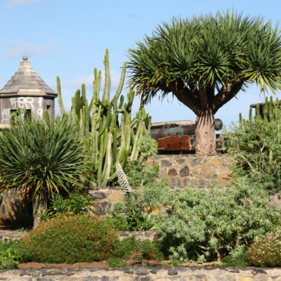 Castillo San Felipe in Puerto de la Cruz