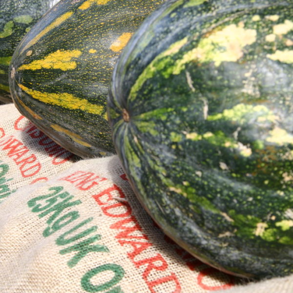 Wassermelonen in Santa Cruz de Tenerife