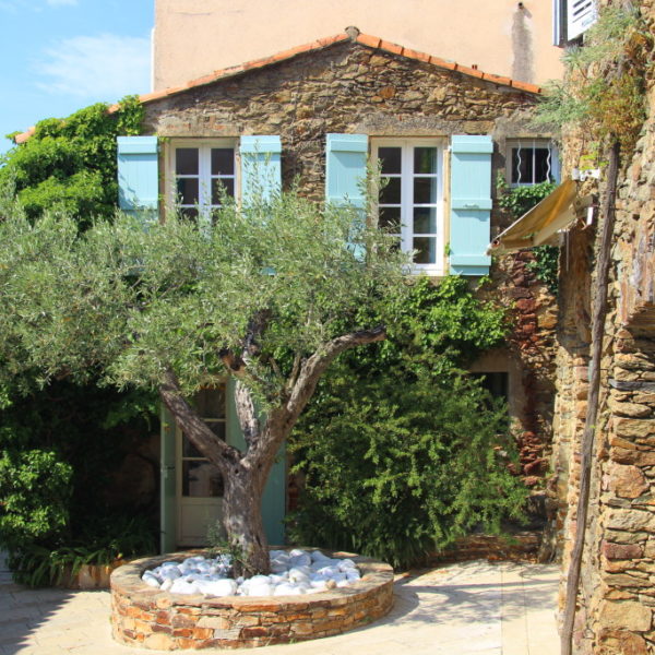 Olivenbaum-Rondell in Gassin